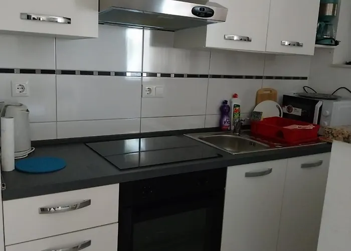 Appartement Miletic *